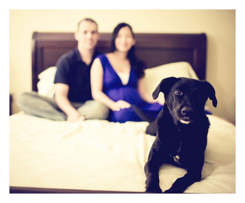 Stylish portrait of Jaime Presley with her husband her black Lab Star