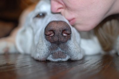 Alesia gives Stoli Burnett a loving kiss on his muzzle