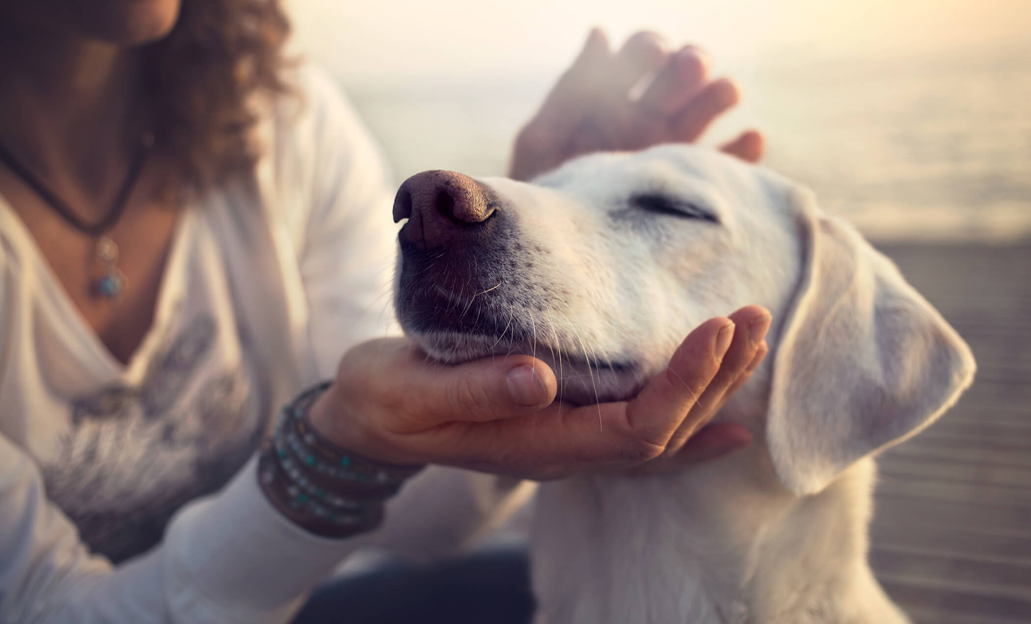 Woman saying good-bye to her old friend before having her veterinarian perform the compassionate care of in-home euthanasia for her terminally ill pet